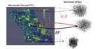 Multiscale Modeling of Fibrous Materials (MuMFiM)